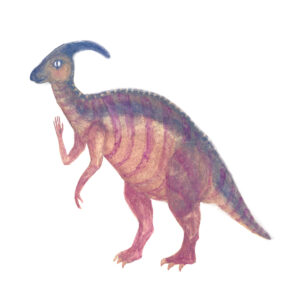 Pasaraurophus illustration