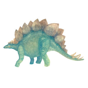 Stegosaurus illustration