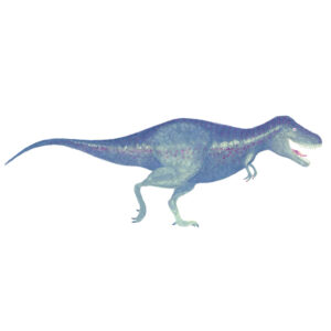 tiranosaurus illustration