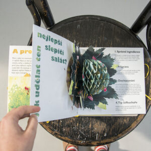 POP UP book Hen and Egg