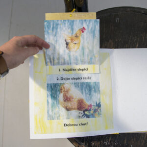 POP UP book Hen and Egg