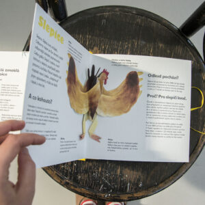 POP UP book Hen and Egg