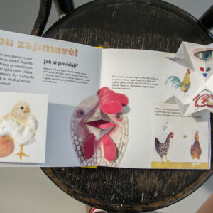 POP UP book Hen and Egg