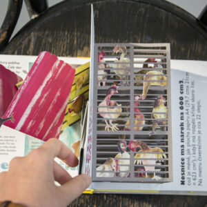 POP UP book Hen and Egg