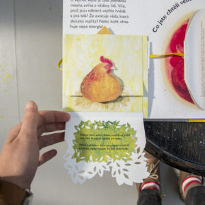 POP UP book Hen and Egg