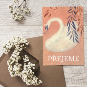 Wedding gift card Blaho přejeme