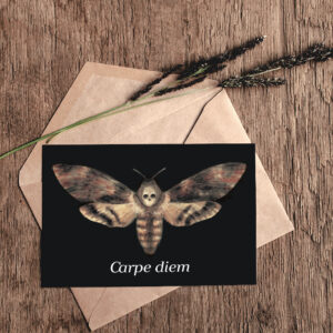 moth greeting card Carpe diem