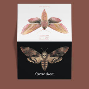 moth greeting card Carpe diem