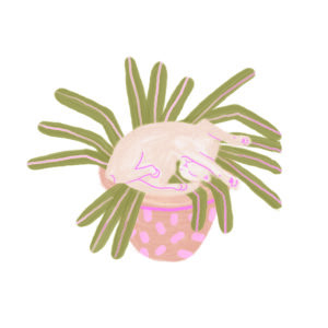 Happy kitty sleepy kitty illustration