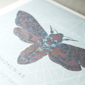 the CD booklet with ink draw of moth