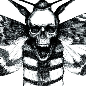 the CD booklet with ink draw of moth