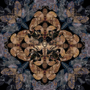 The Moth Kaleidoscope